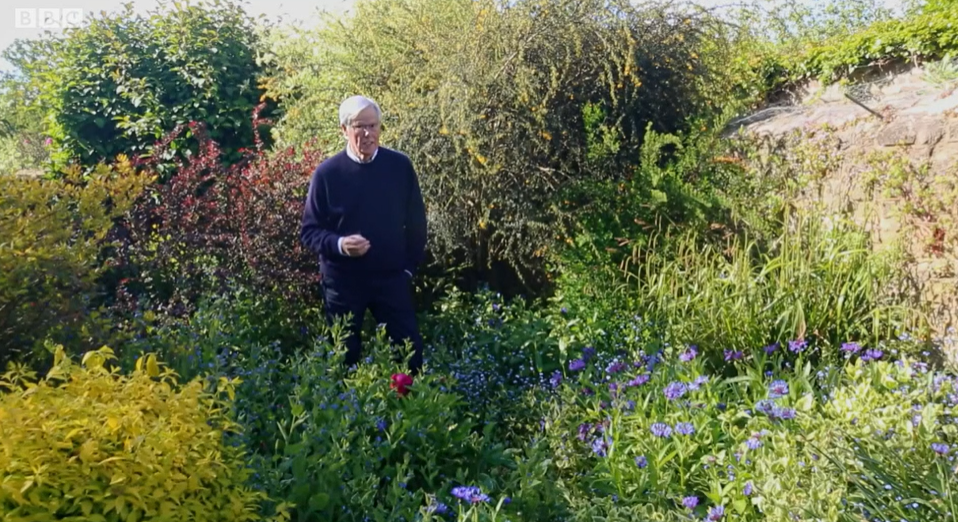 John Craven hosted Countryfile from his stunning garden (Credit: BBC)