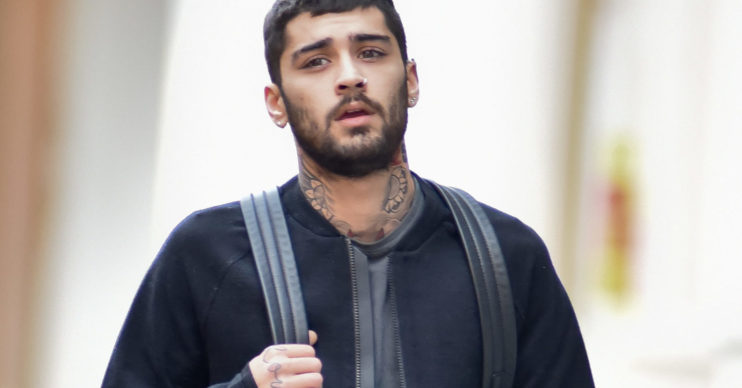 Zayn Malik