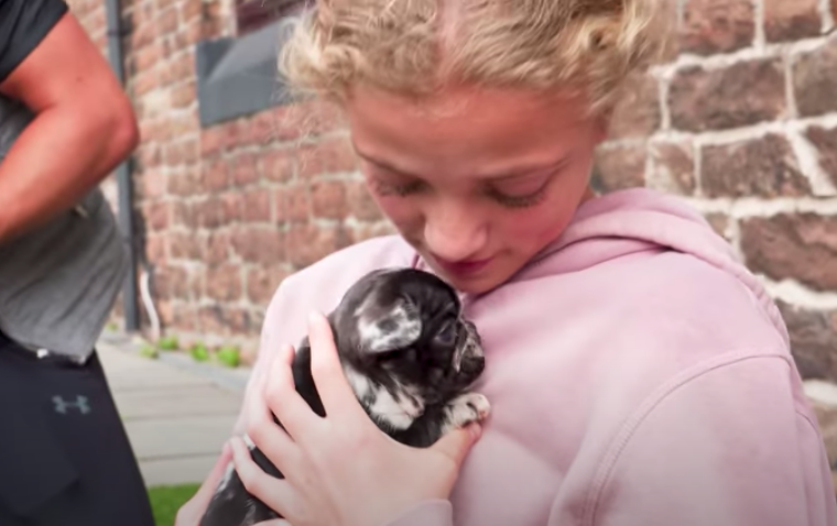 katie price princess andre puppy