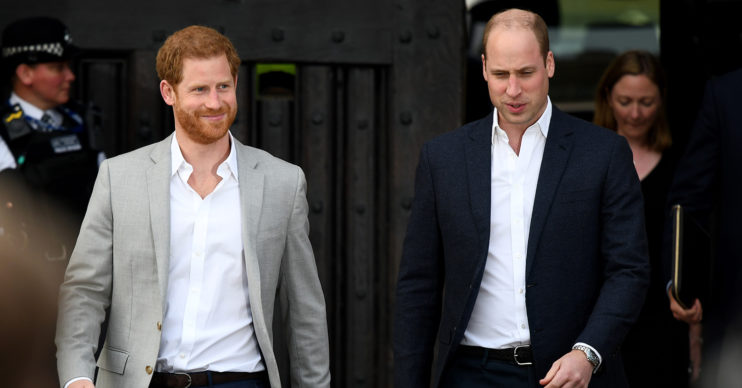 prince william prince harry rift