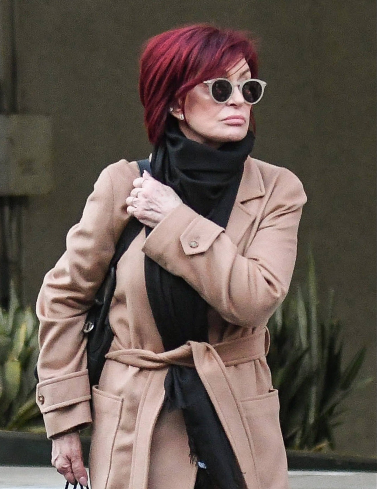 Sharon made the claims on The Talk (Credit: Splash News)
