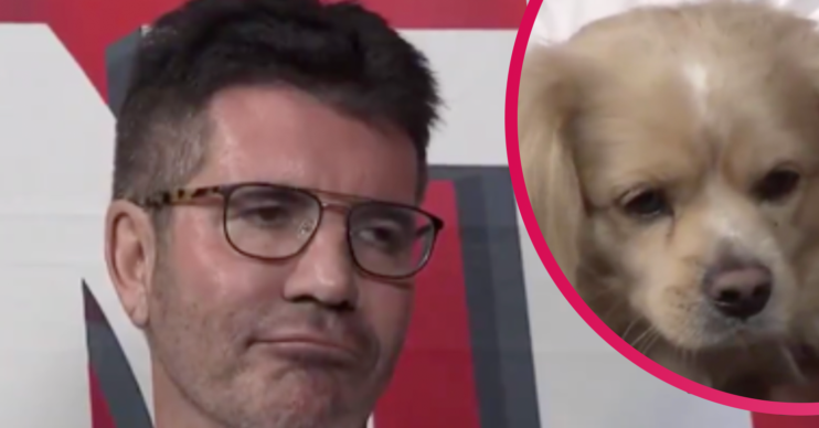 Simon Cowell