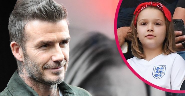 David Beckham's daughter Harper