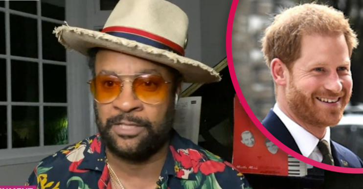 Shaggy Prince Harry
