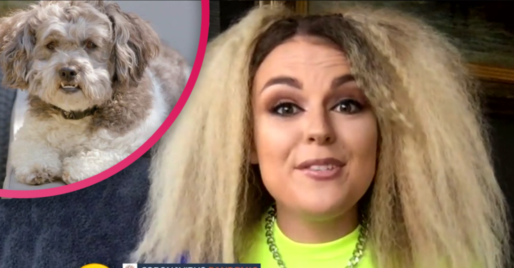 Tallia Storm criticises buying dogs during lockdown