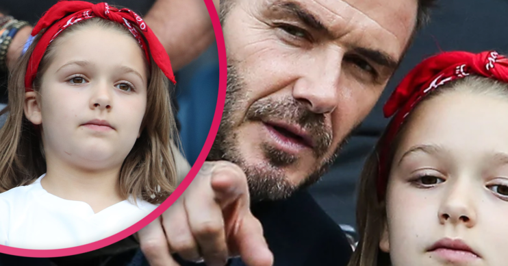Harper Beckham