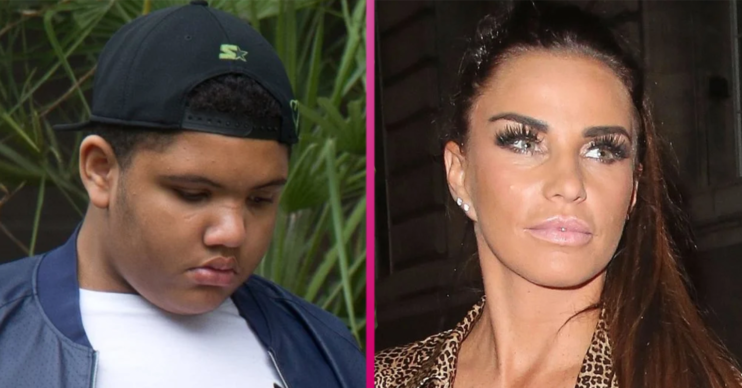 Katie Price Harvey