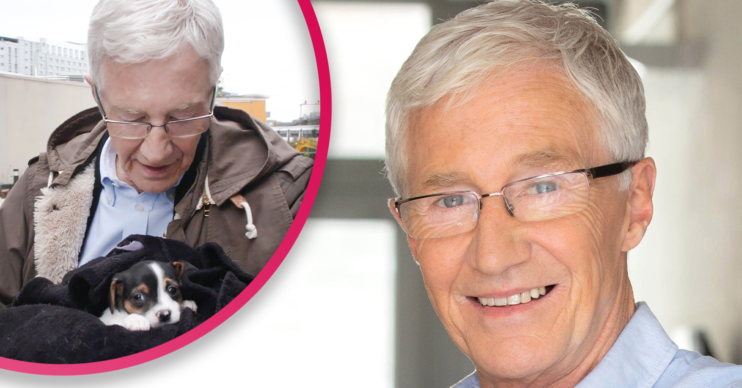 Paul O'Grady For the Love of Dogs