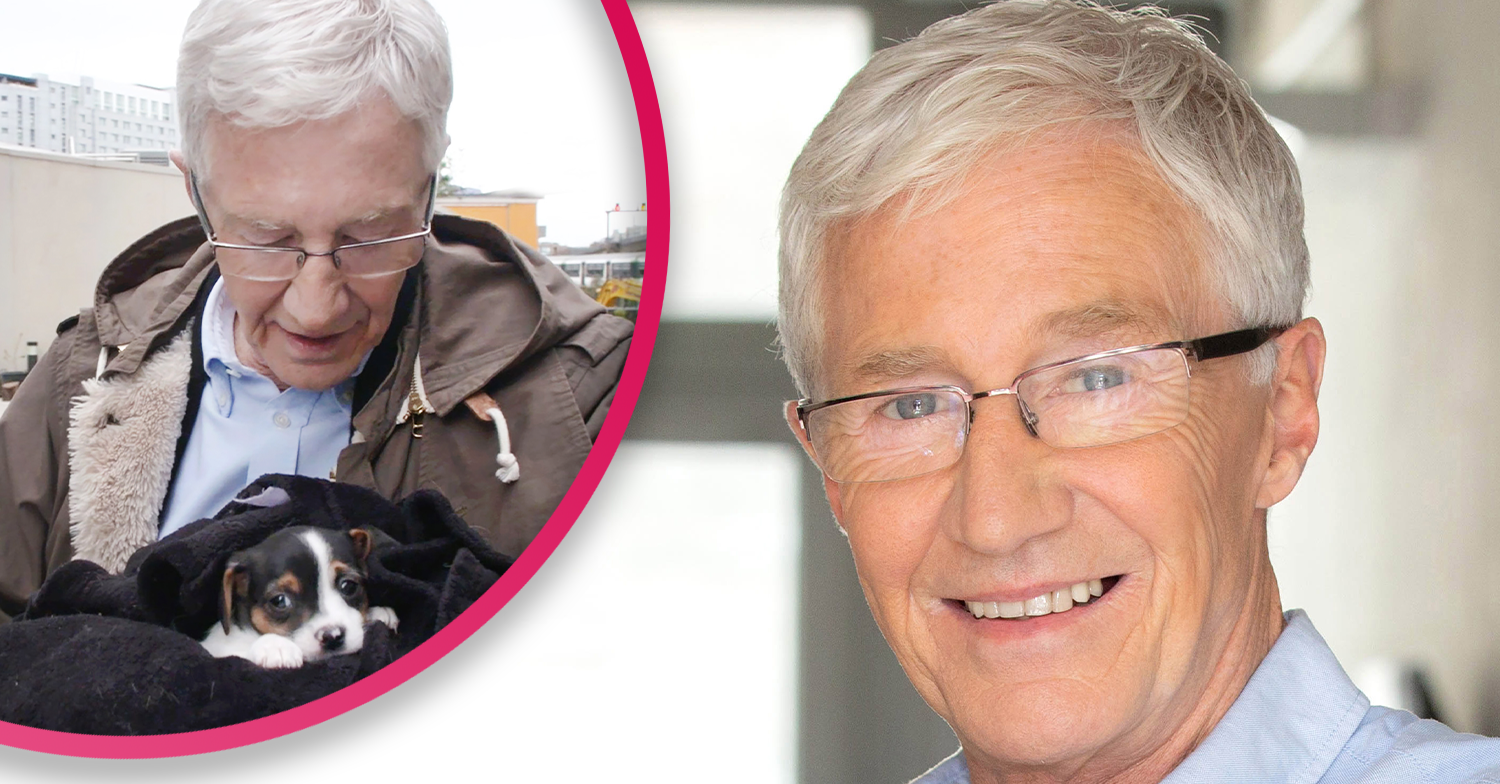 Paul O'Grady For the Love of Dogs