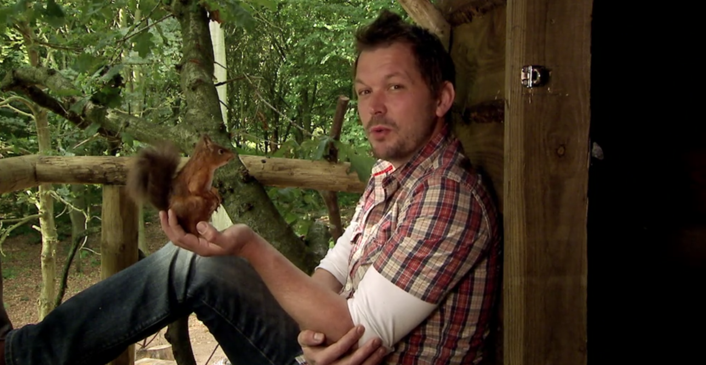 Jimmy Doherty on Jimmy's Forest Channel 4