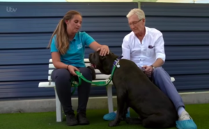 paul o'grady