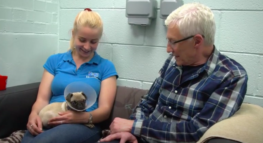 paul o'grady in For the Love of Dogs. there is a new series on the way.
