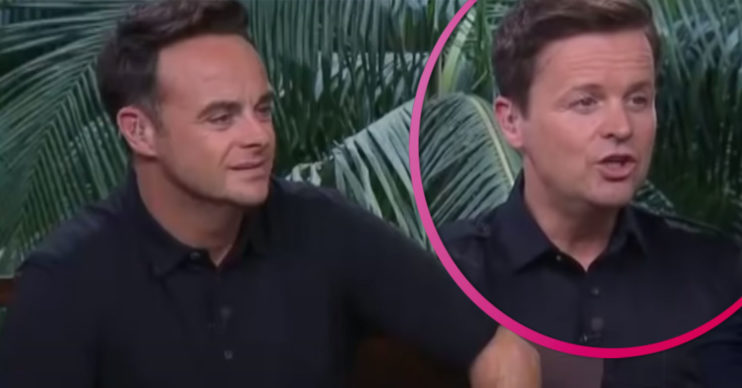 Ant and Dec on I'm A Celebrity - 2020 series UK