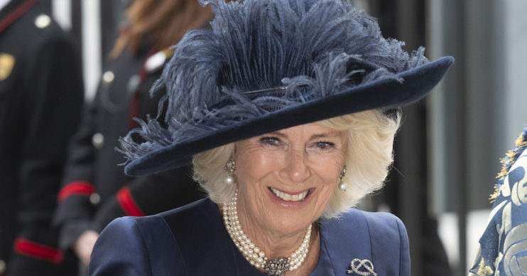 camilla parker bowles duchess of cornwall