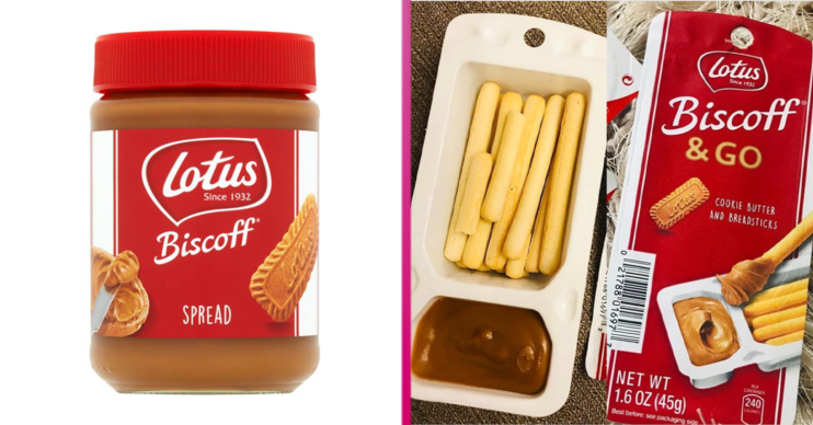 biscoff & go