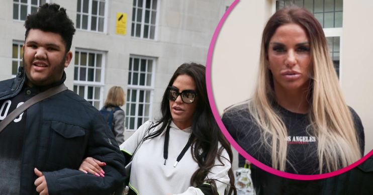 Katie Price Harvey