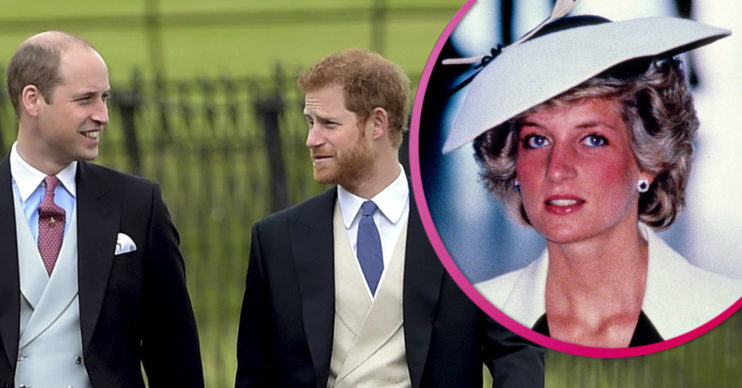 Princess Diana and Harry/William