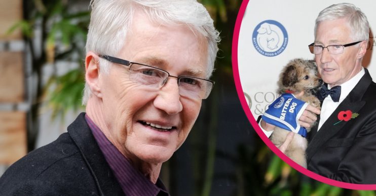 Paul O'Grady dogs