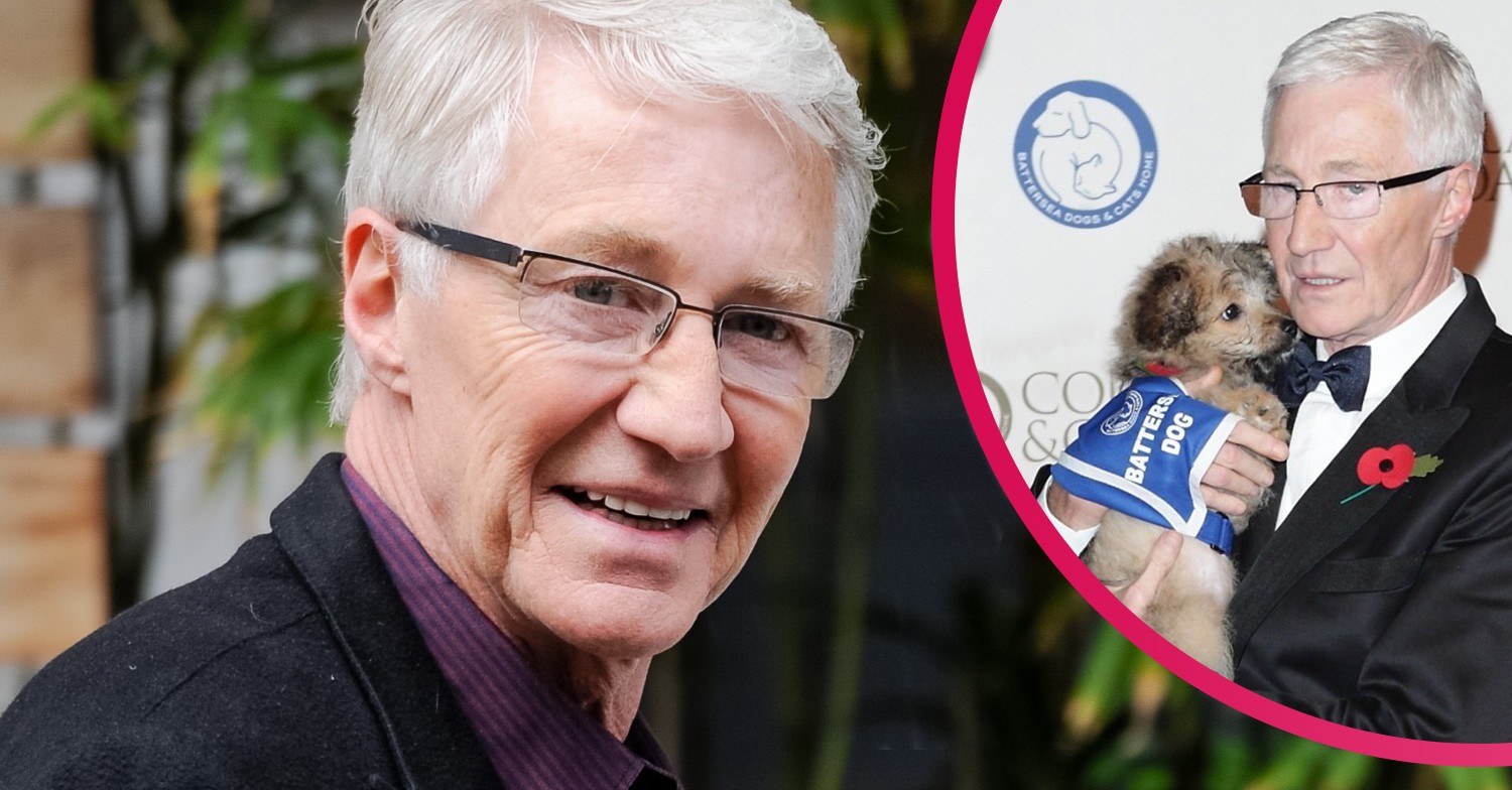 Paul O'Grady dogs