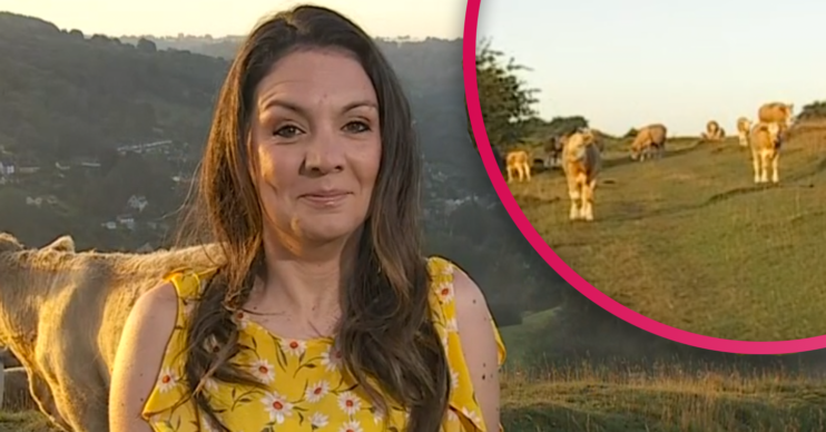 Laura Tobin GMB (Credit: ITV)
