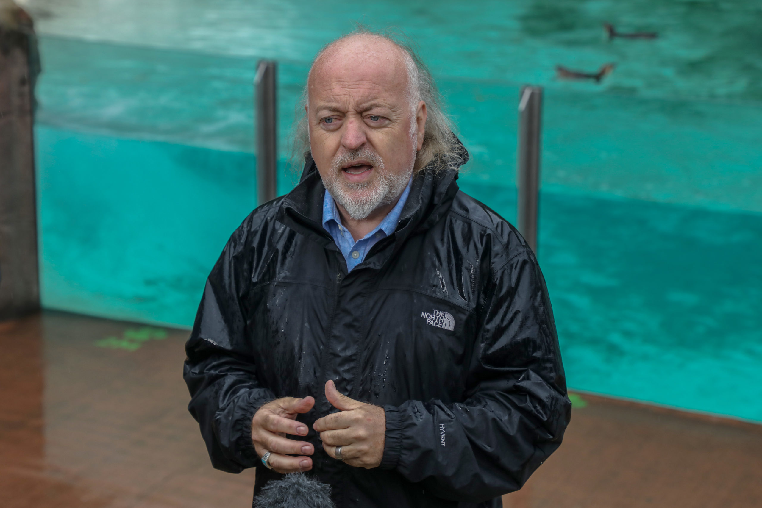 Strictly Come Dancing Bill Bailey