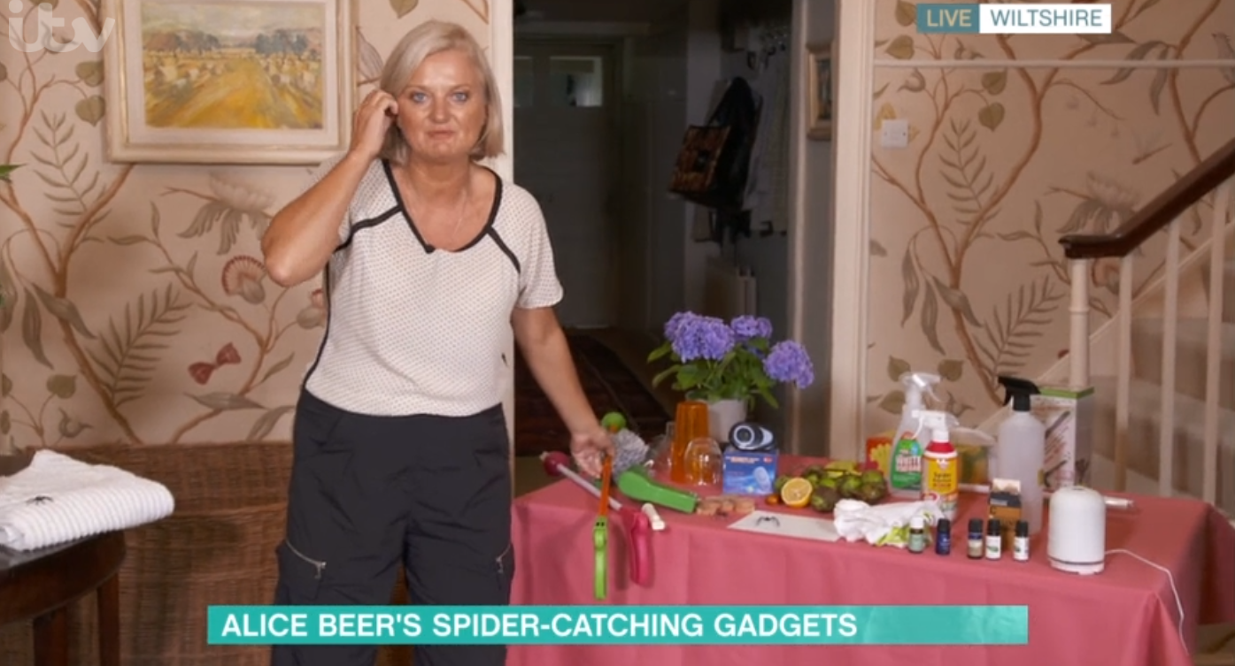 Alice Beer on This Morning
