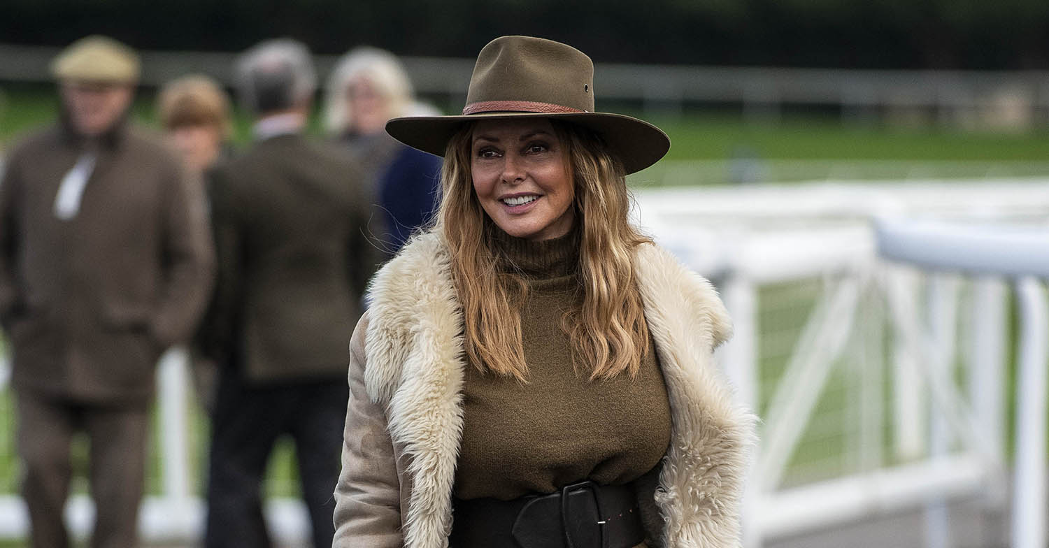 carol vorderman figure
