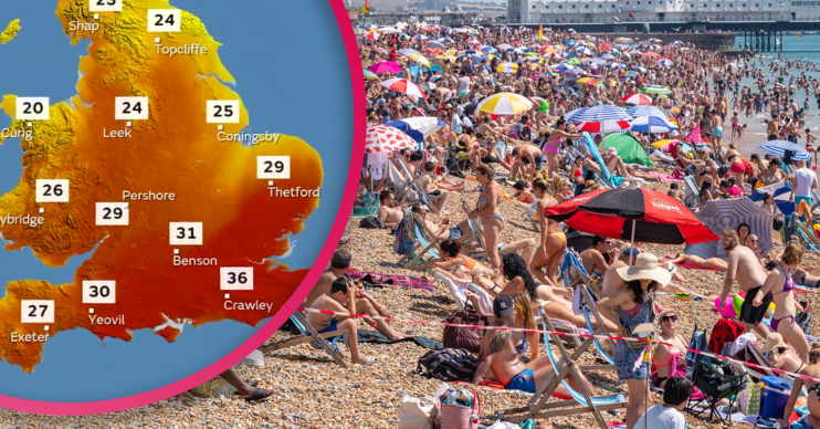 stay away from beaches