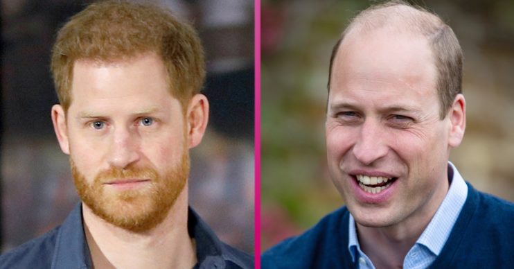 prince william prince harry