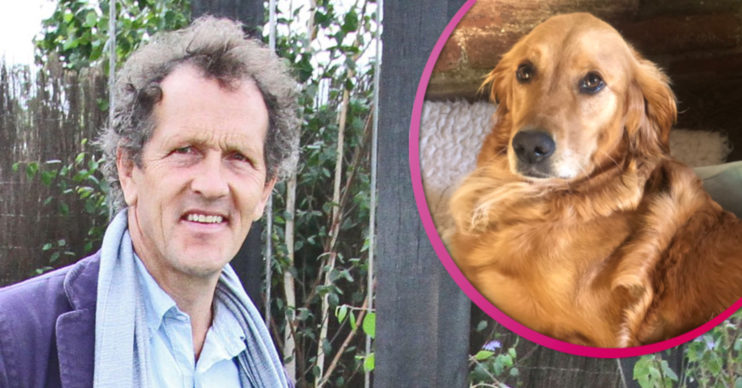 Monty Don and dog Nellie