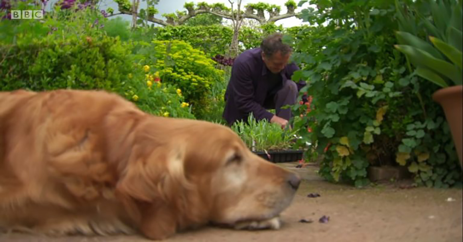 Monty Don