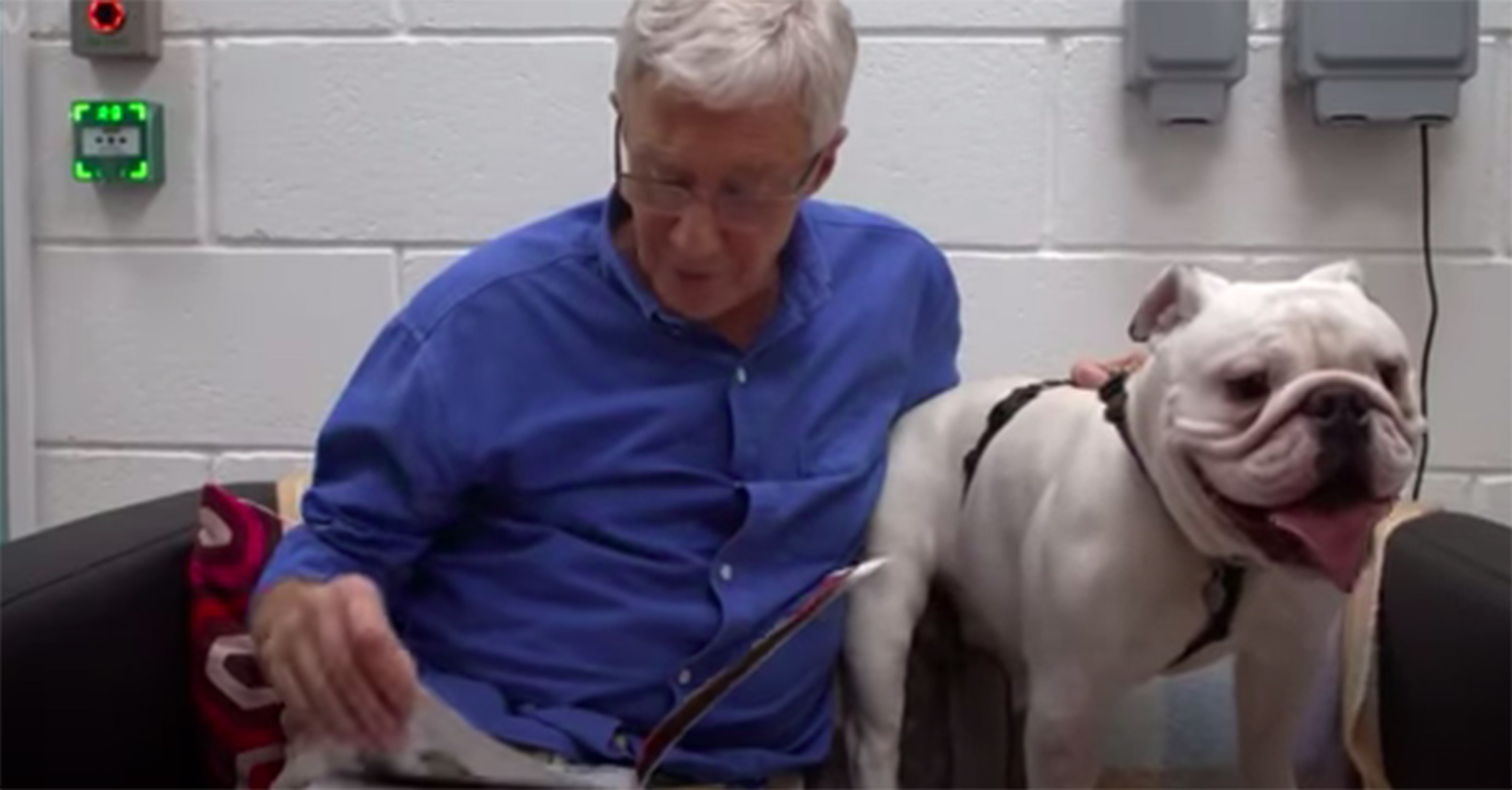 paul o'grady dogs
