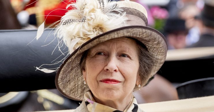 princess anne 70th birthday