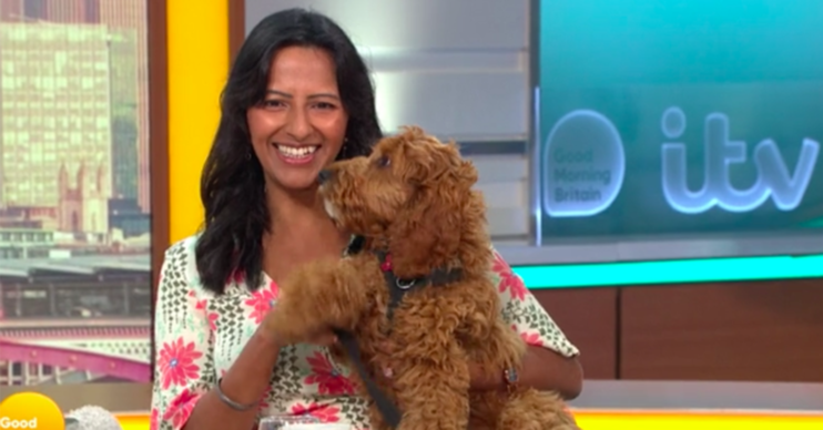 ranvir singh