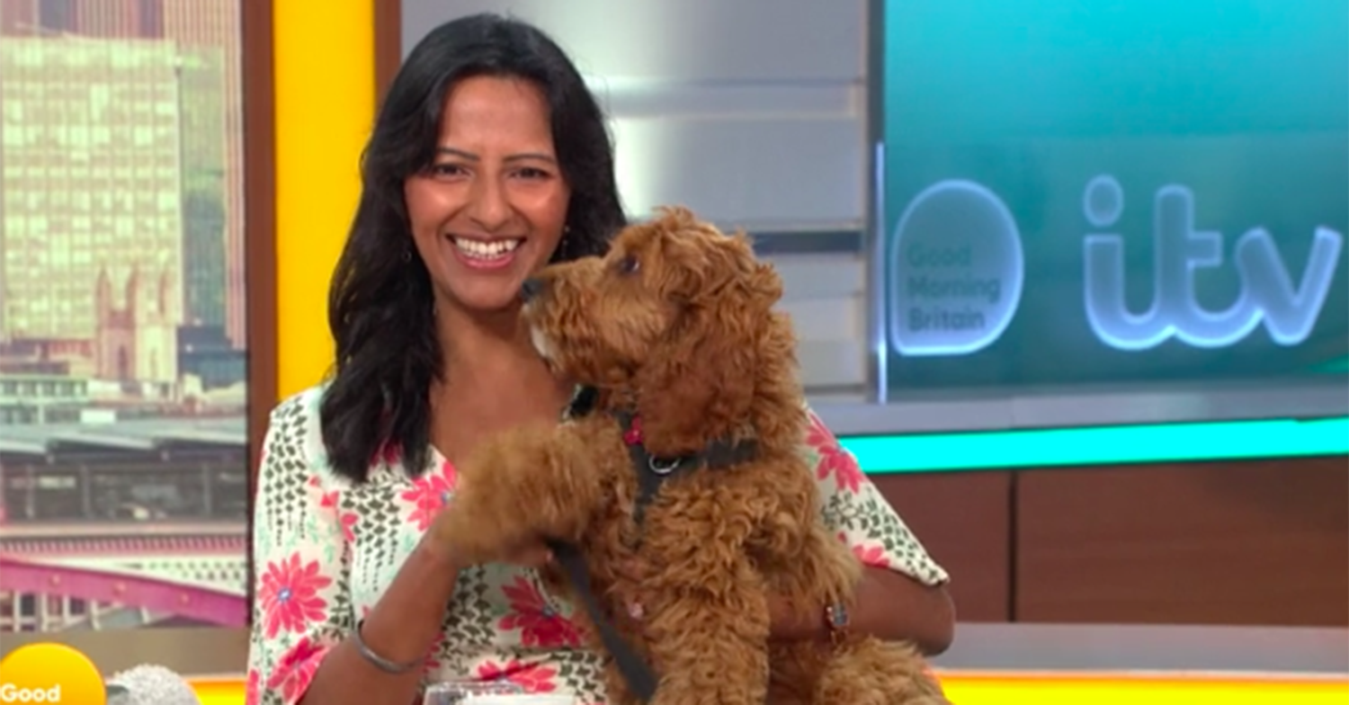 ranvir singh