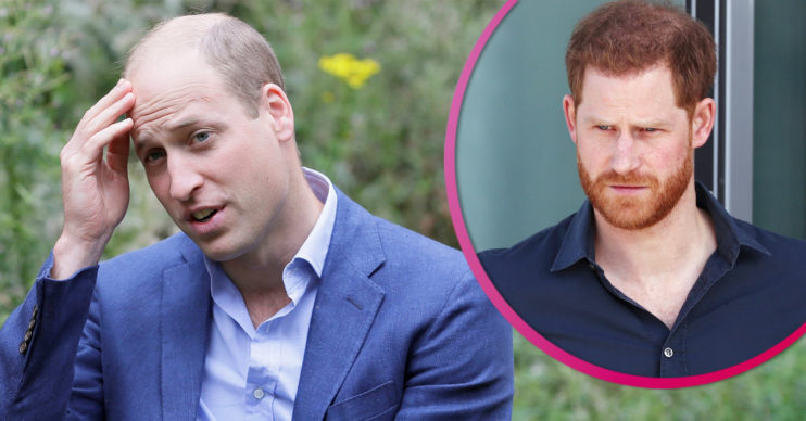 Prince William and Harry