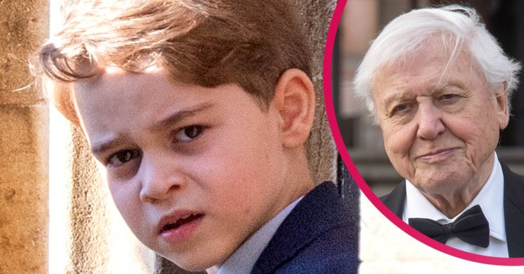 david attenborough prince george