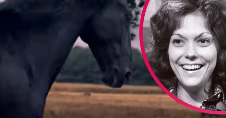 Lloyds Bank advert
