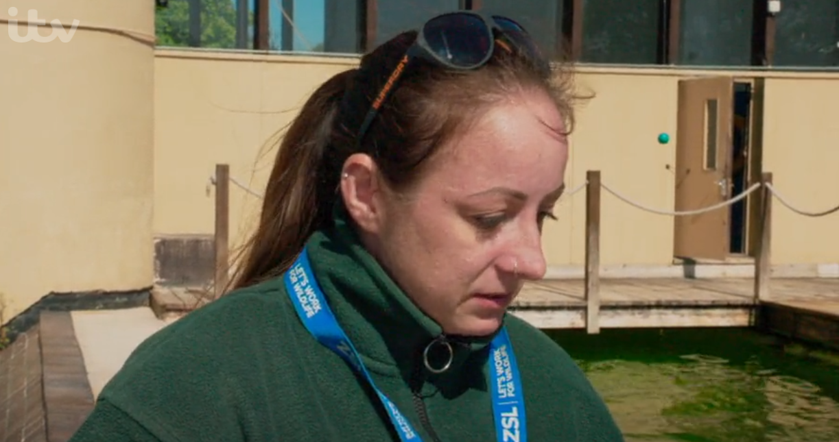 Alex on London Zoo: An Extraordinary Year