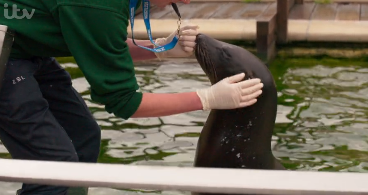 Alex on London Zoo: An Extraordinary Year