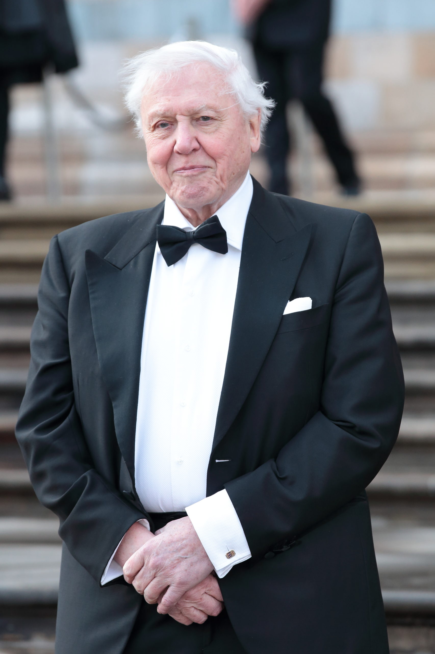 David Attenborough Prince George