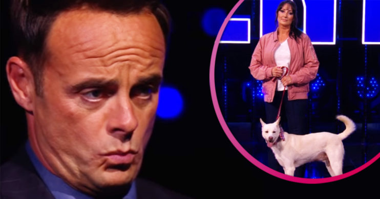 BGT Ant McPArtlin