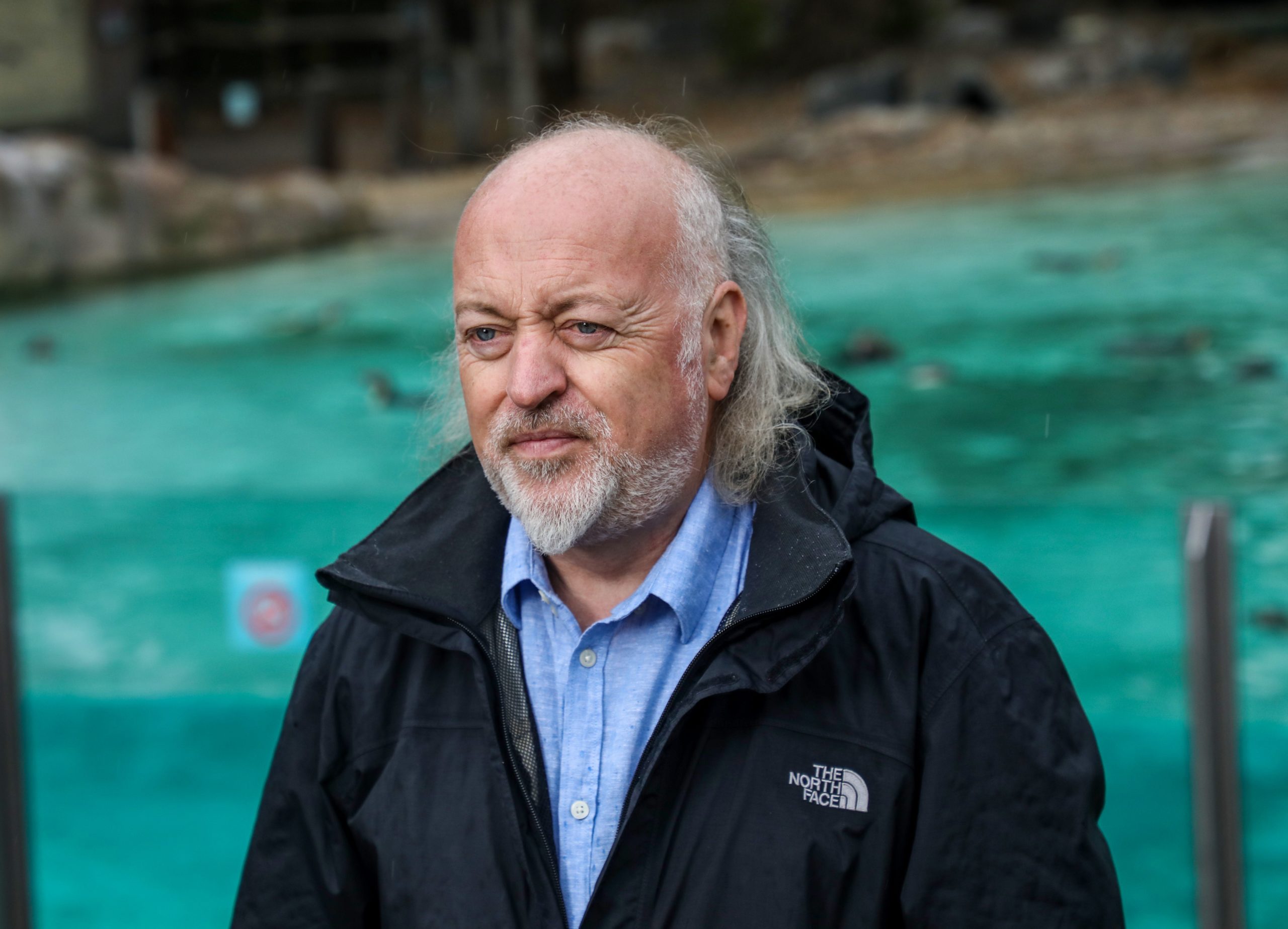 Bill Bailey