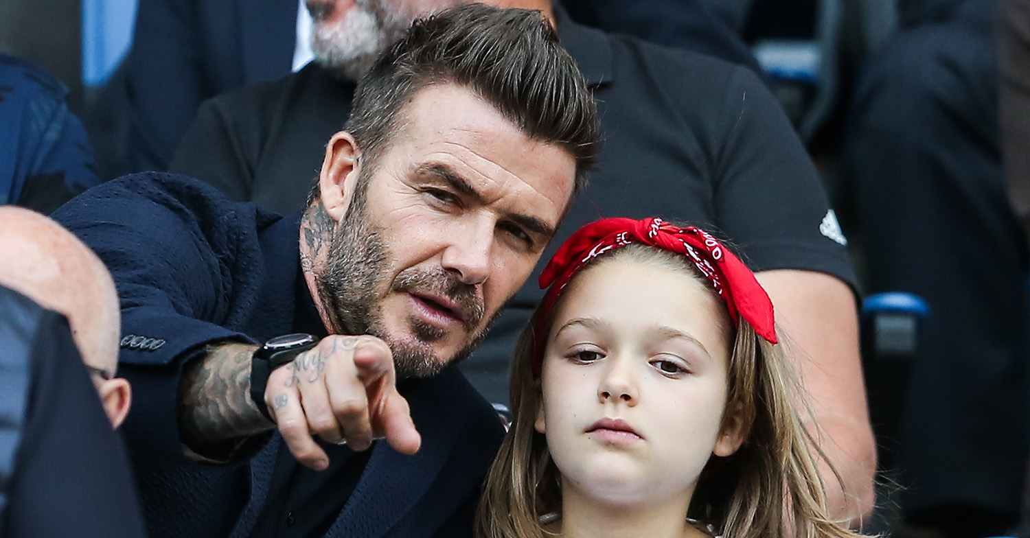 david beckham harper