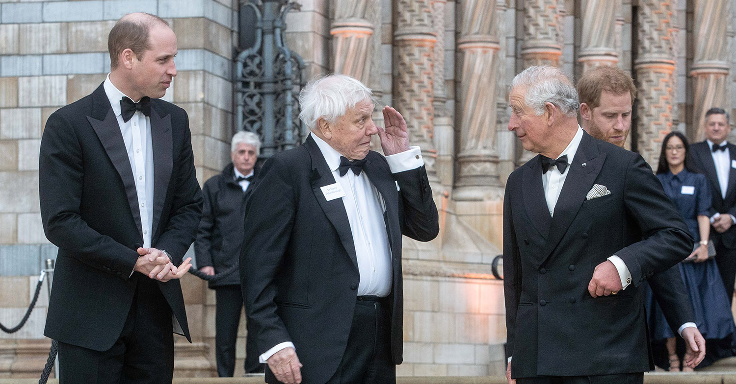 sir david attenborough 