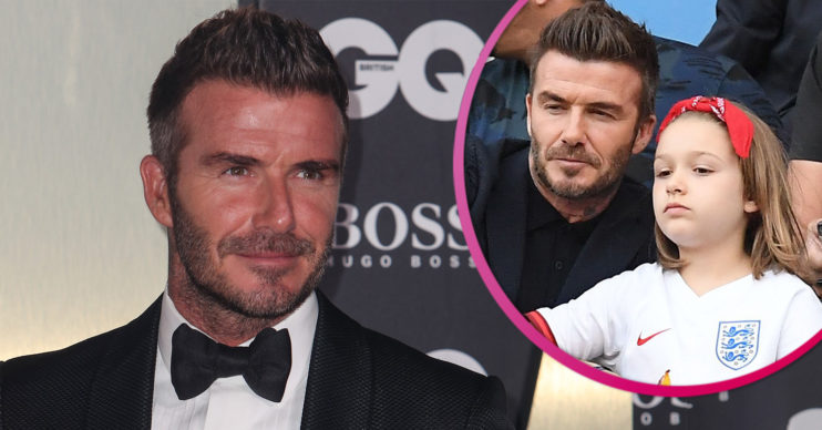 David Beckham Harper