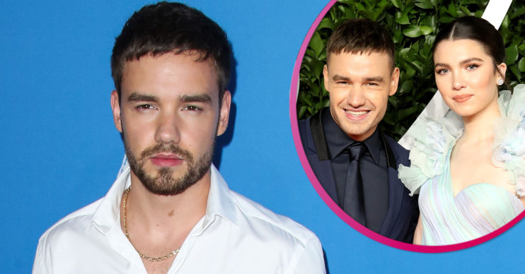 Liam Payne posing at an event