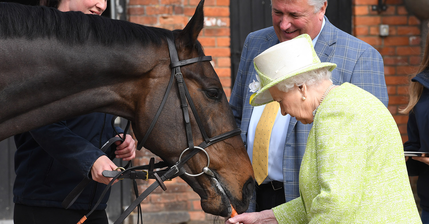 the queen ponies