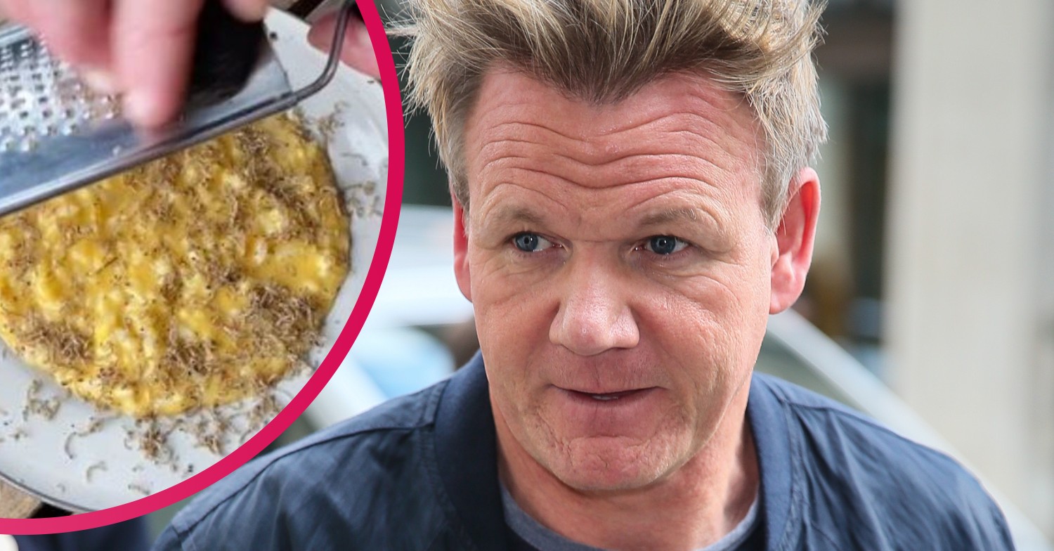 Gordon Ramsay risotto wp