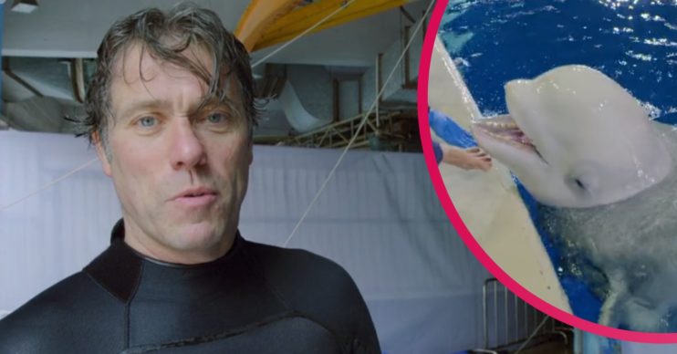 John Bishop's Great Whale Rescue